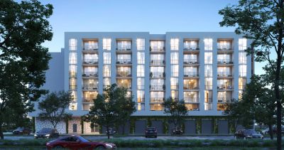 PALMAIRE - tentative visualization